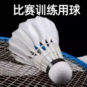 羽毛球正品12只装耐打王黑白羽室外训练比赛专用防风发光尼龙球